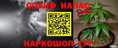 Альфа ПВП Малгобек