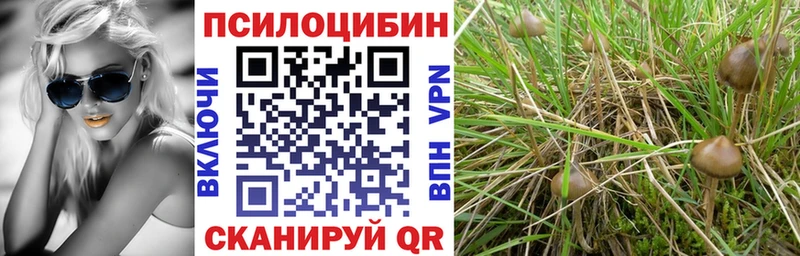 Галлюциногенные грибы Magic Shrooms  MEGA ТОР  Славянск-на-Кубани 